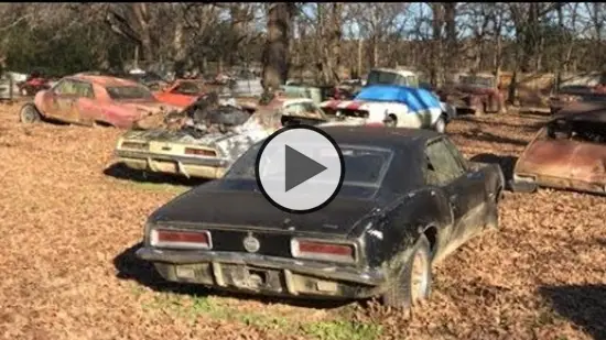 Field of Dreams, Neglected and Abandoned Junkyard full of 1st Gen Camaros  and Muscle Cars! - xtrhorsepower